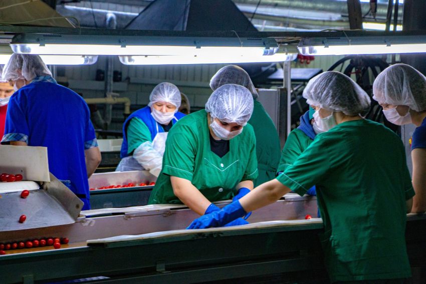 IMG 4103 1