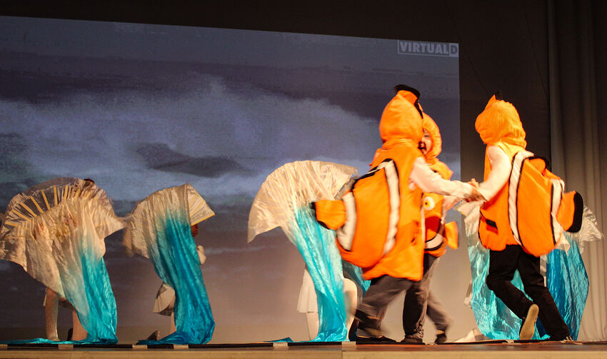 IMG 4221
