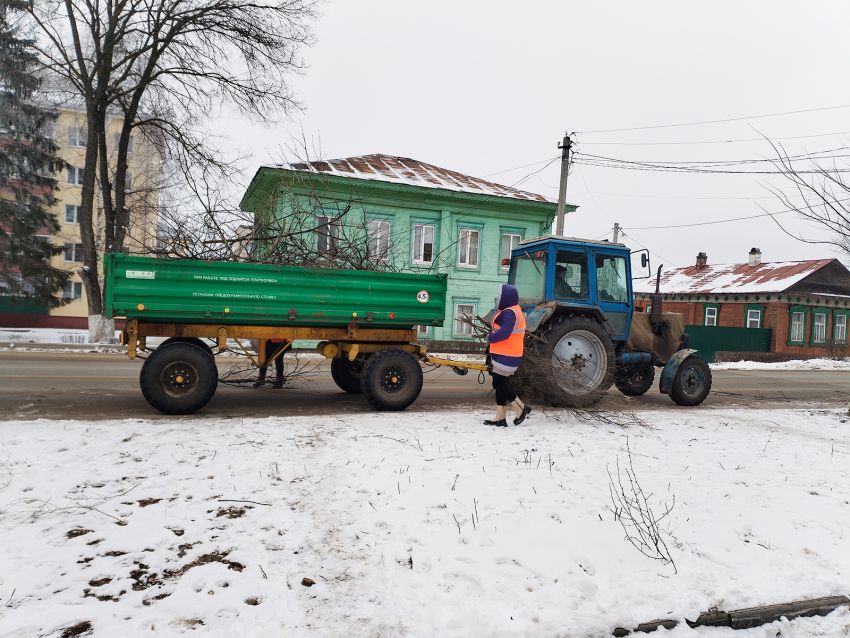 IMG 20250210 091141 спил деревьев