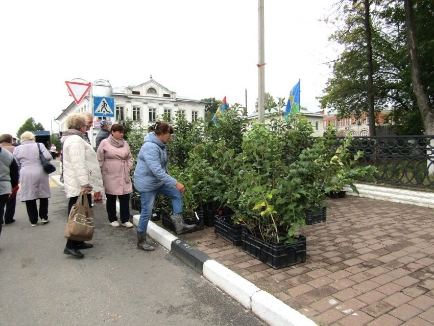 IMG 3599