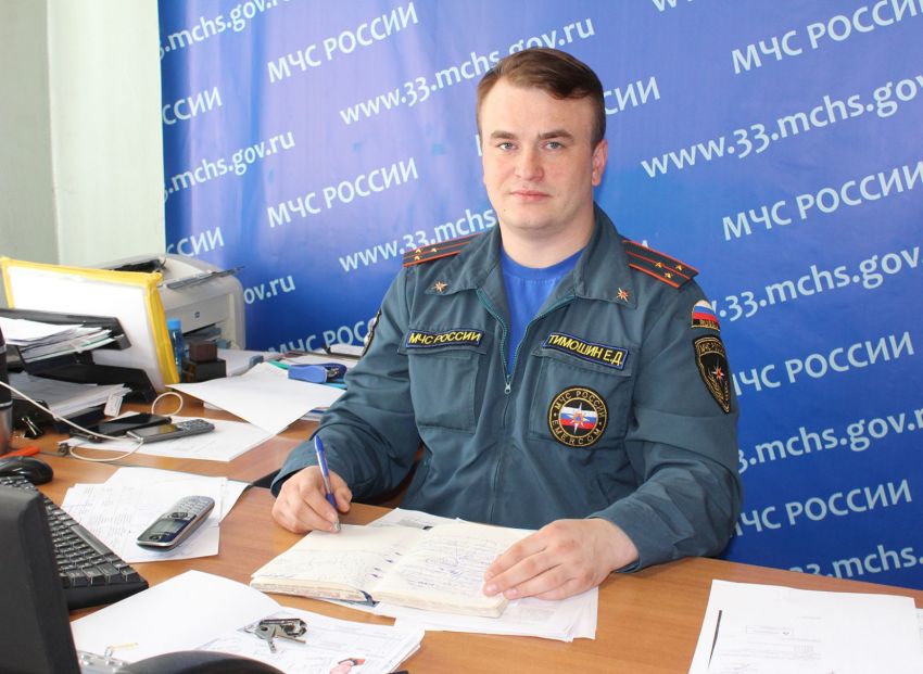 Е.Д. Тимошин