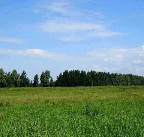 земля