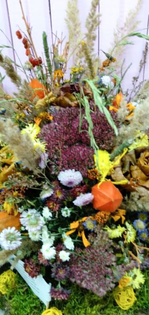 IMG 20231026 WA0004