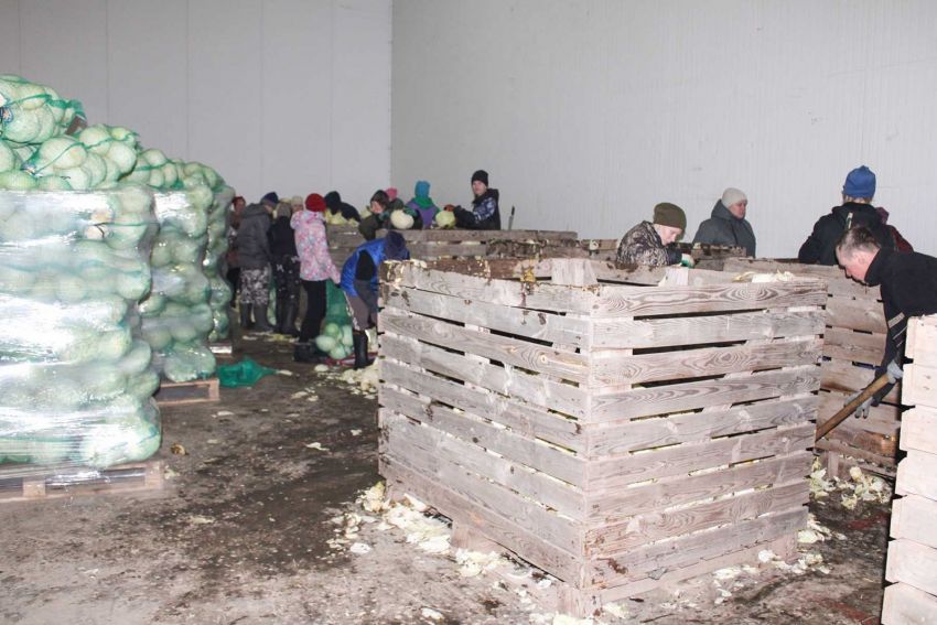 IMG 2402 АО ПЗ Илькино
