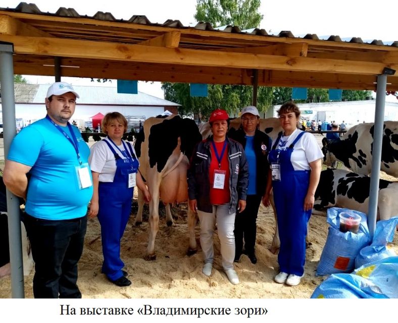 IMG 20221005 WA0004