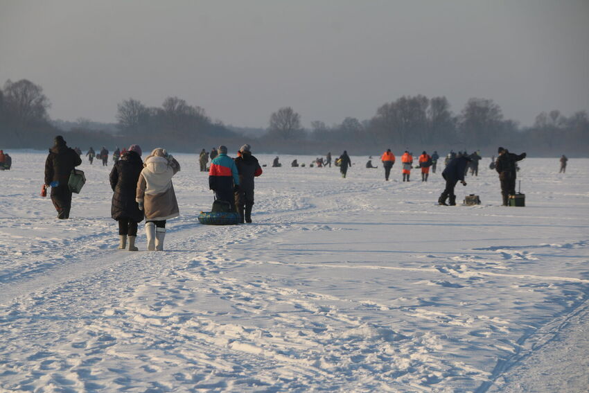 IMG 7674