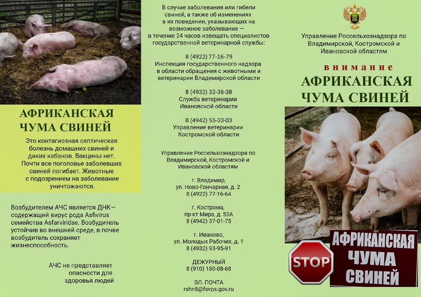 Приложение АЧС к вх. письмо 163 01 36 от 16.01.2026 О размещении памяток от Управлениеv1 1