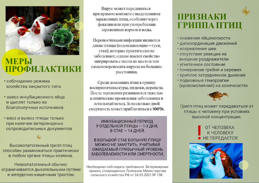 Приложение грипп птиц к вх. письмо 163 01 36 от 16.01.2026 О размещении памяток от Упрv1 2