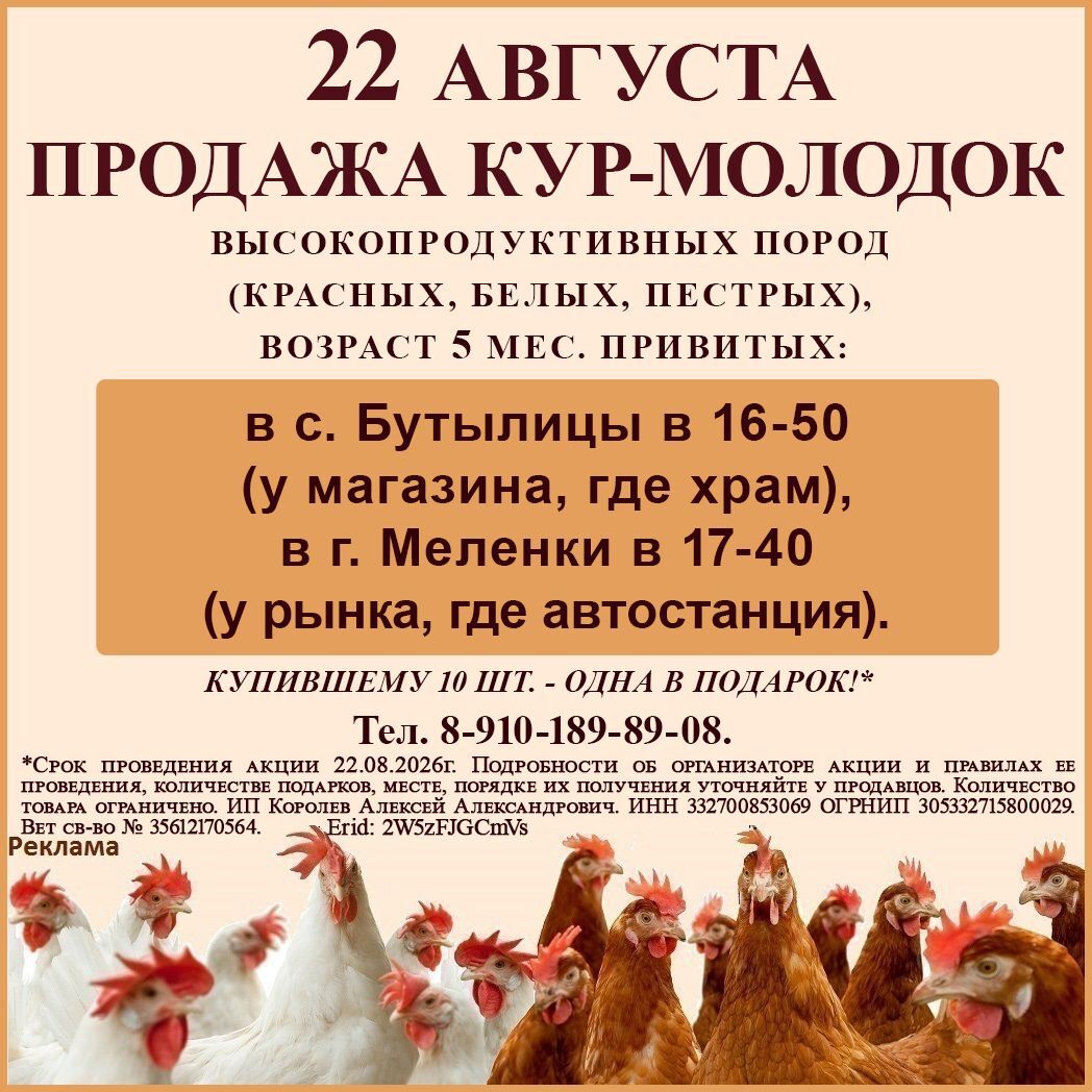 Продажа кур с 12.08.2026г.