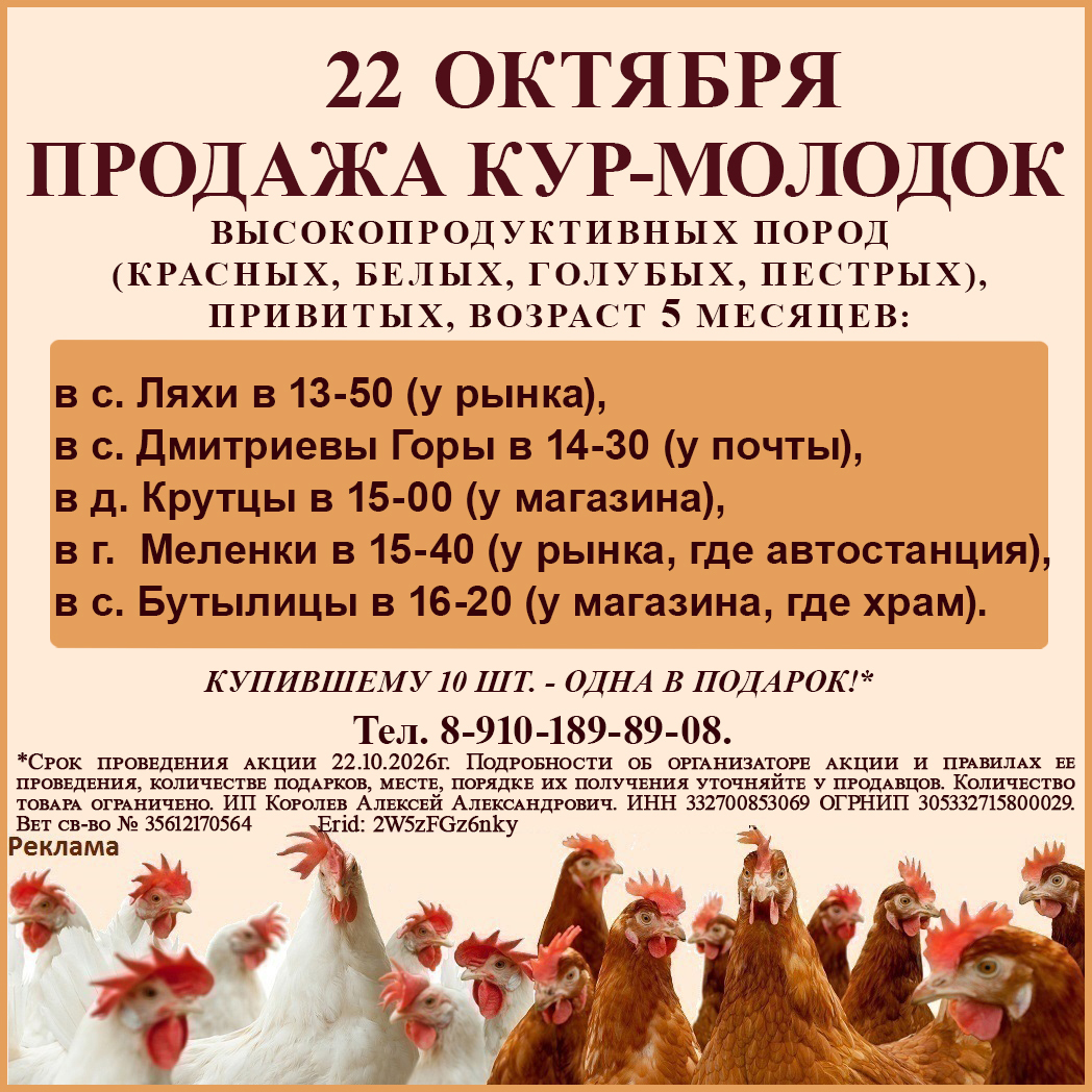 Куры на 14.10.2026