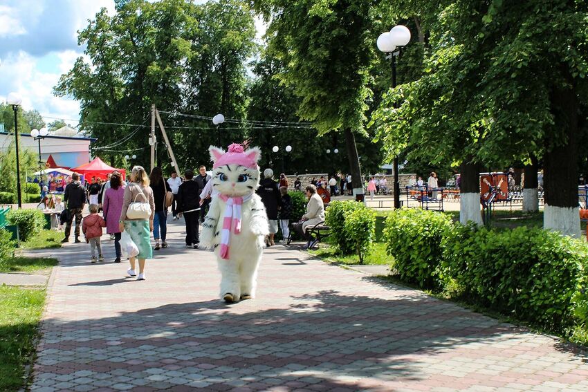 IMG 4867