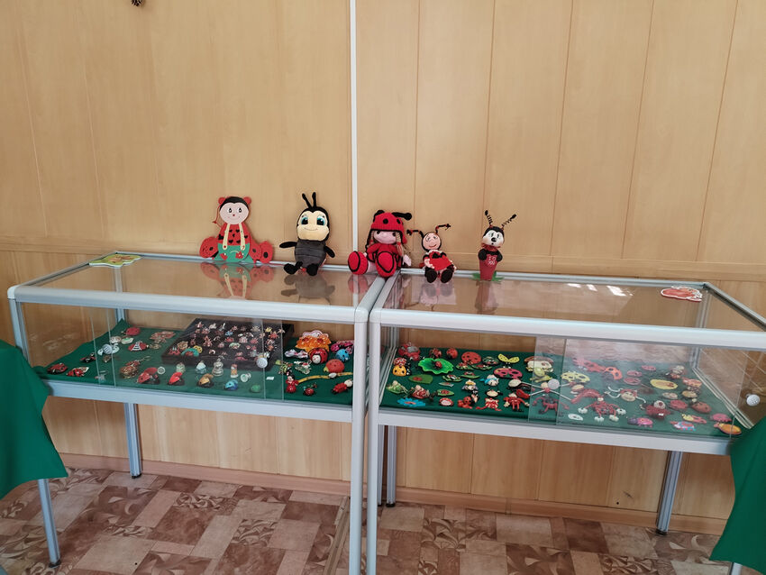 IMG 20250523 104610