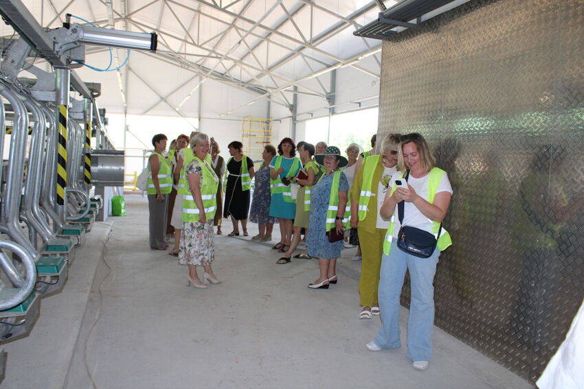 IMG 4677