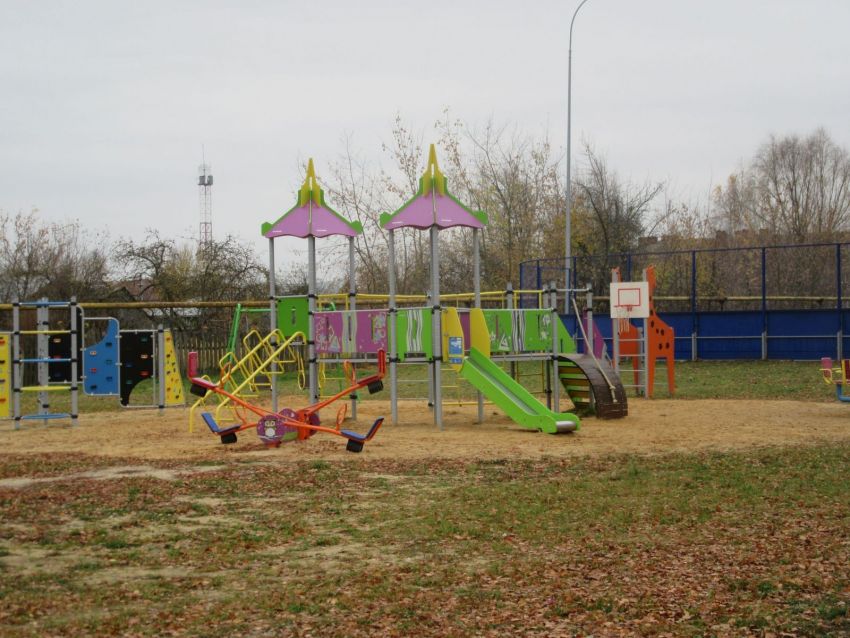 IMG 0082